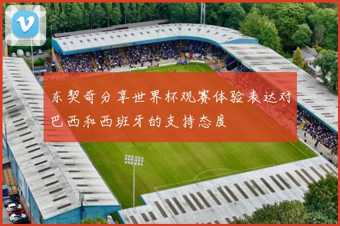 东契奇分享世界杯观赛体验表达对巴西和西班牙的支持态度